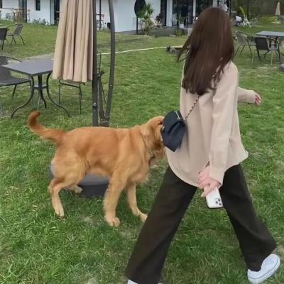 涡轮小子