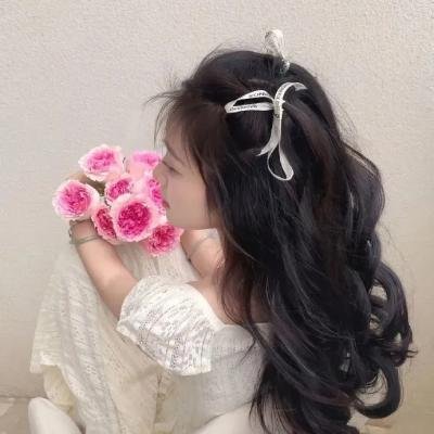 你好安妮